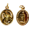 Unique medallion (Gold)